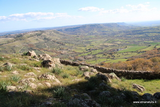 Bosco della Contessa